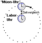 Die Uhr des Müons vergleicht ihre Zeit immer wieder mit der ruhenden Labor-Uhr