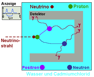 Apparatur zur Entdeckung einer Neutrino-Reaktion