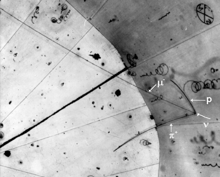 Neutrino-Reaktion in einer Wasserstoff-Blasenkammer