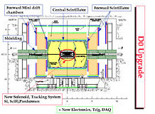 Schema des D0-Detektors