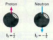 das Nukleonen Isospin-Dublett